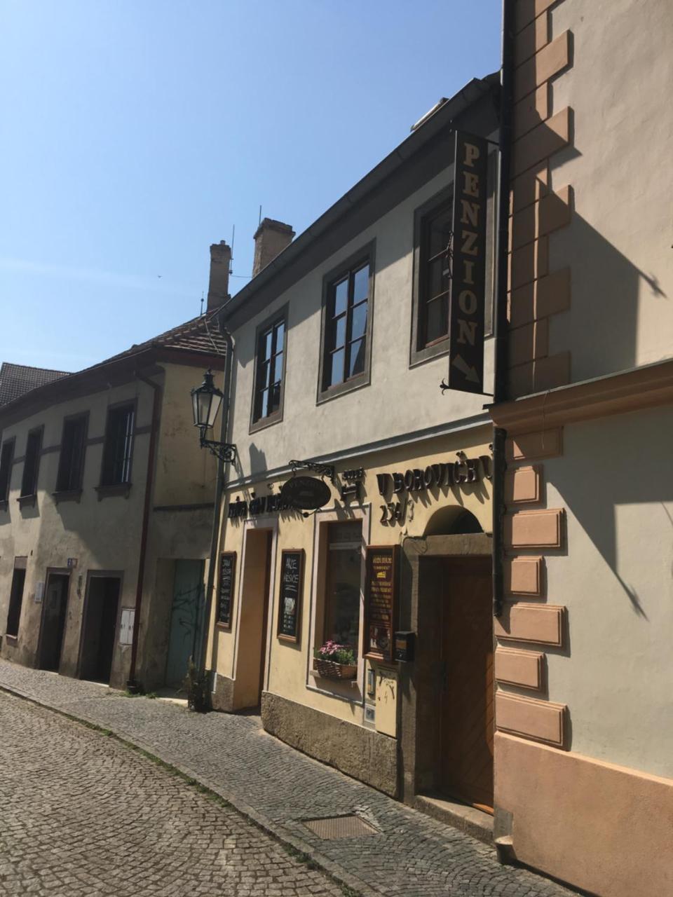 Penzion U Borovicku Литомержице Экстерьер фото